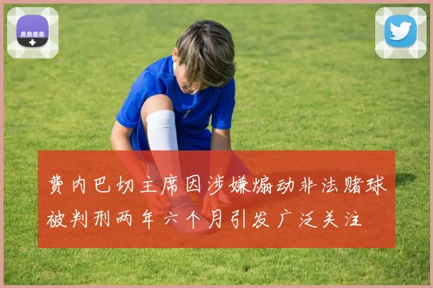 费内巴切主席因涉嫌煽动非法赌球被判刑两年六个月引发广泛关注