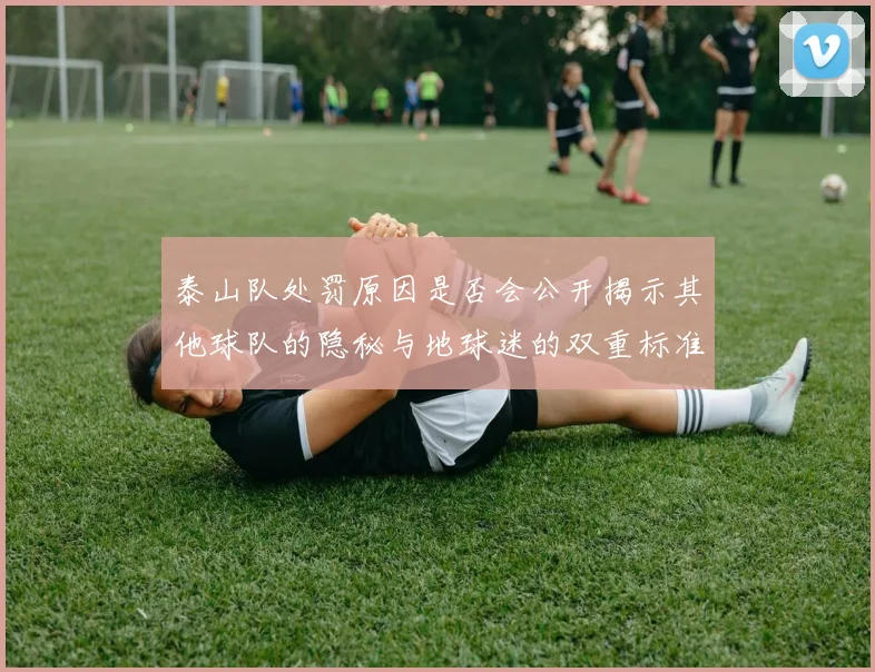 泰山队处罚原因是否会公开揭示其他球队的隐秘与地球迷的双重标准